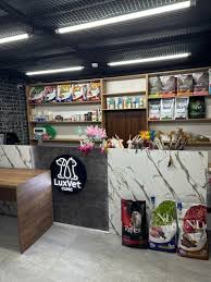 shop
